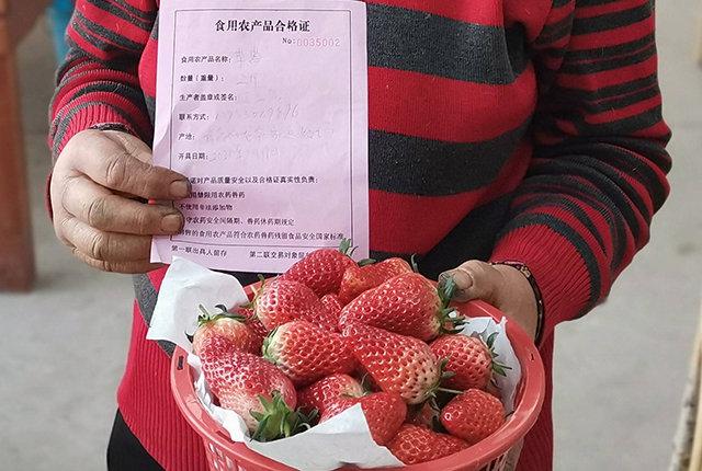 食用农产品合格证试行 农产品有了