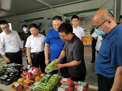 农业农村部赴淄博调研农兽药残留超标治理工作推进情况